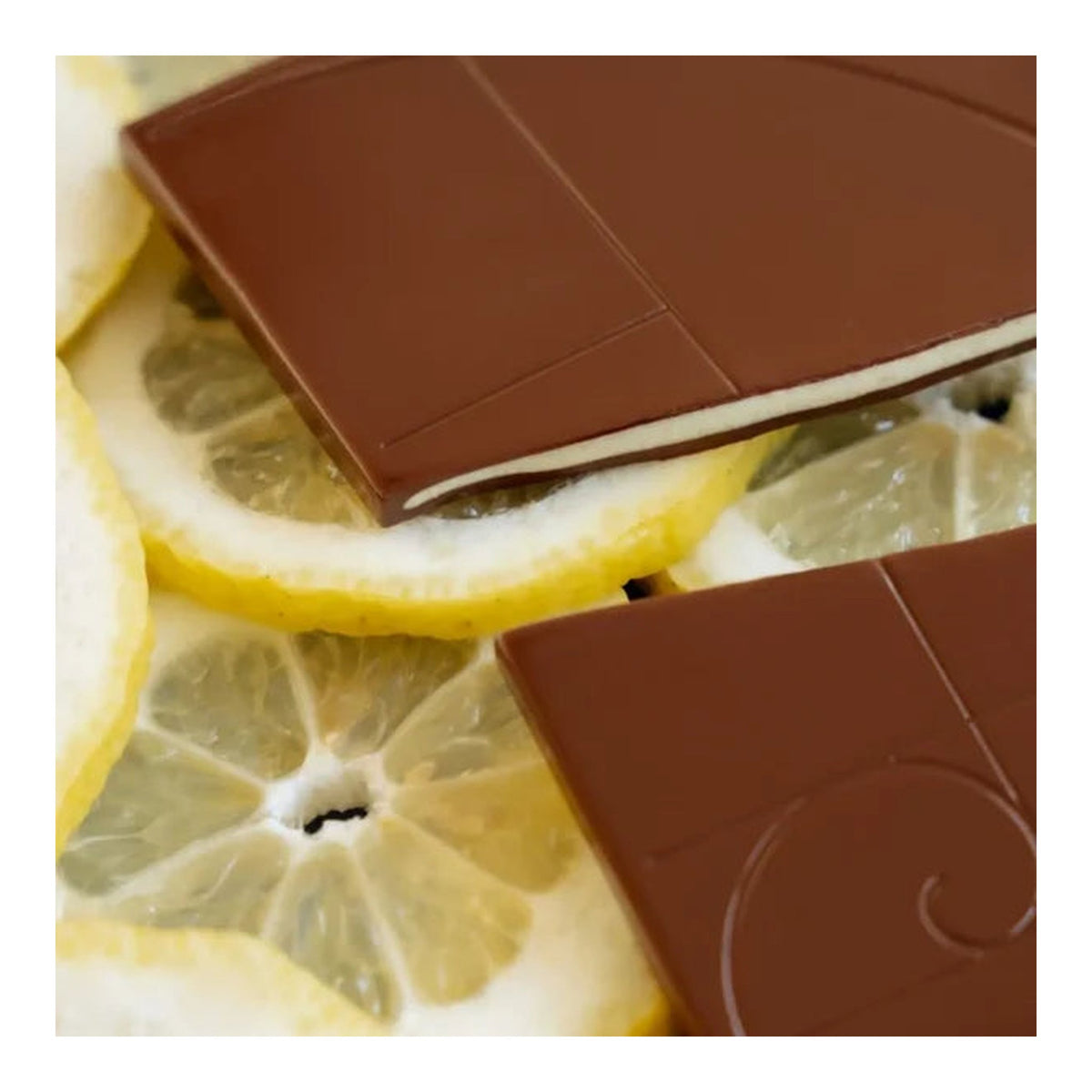 World Market | Yuzu Lemon Peel Milk Chocolate Bar - 3 oz