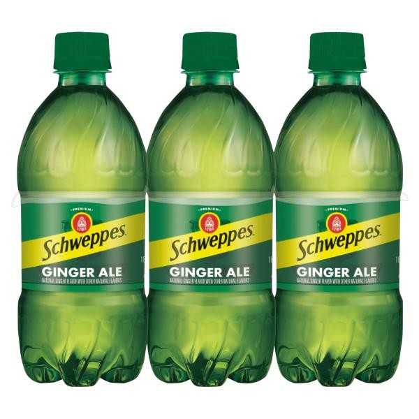 Publix | Ginger Ale