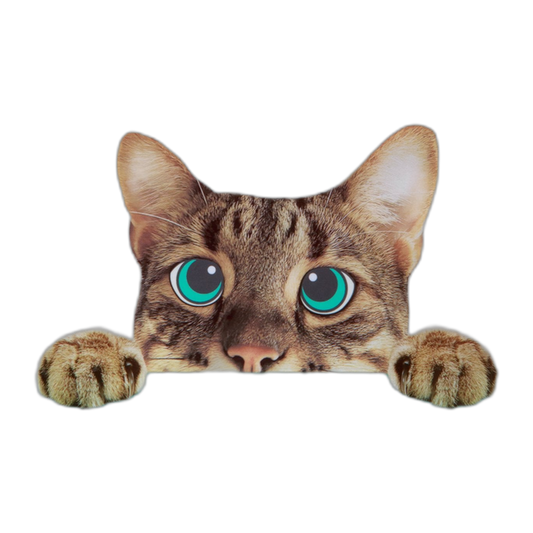 Trader Joe's | Here, Kitty Kitty! Cat Treats - 5 oz