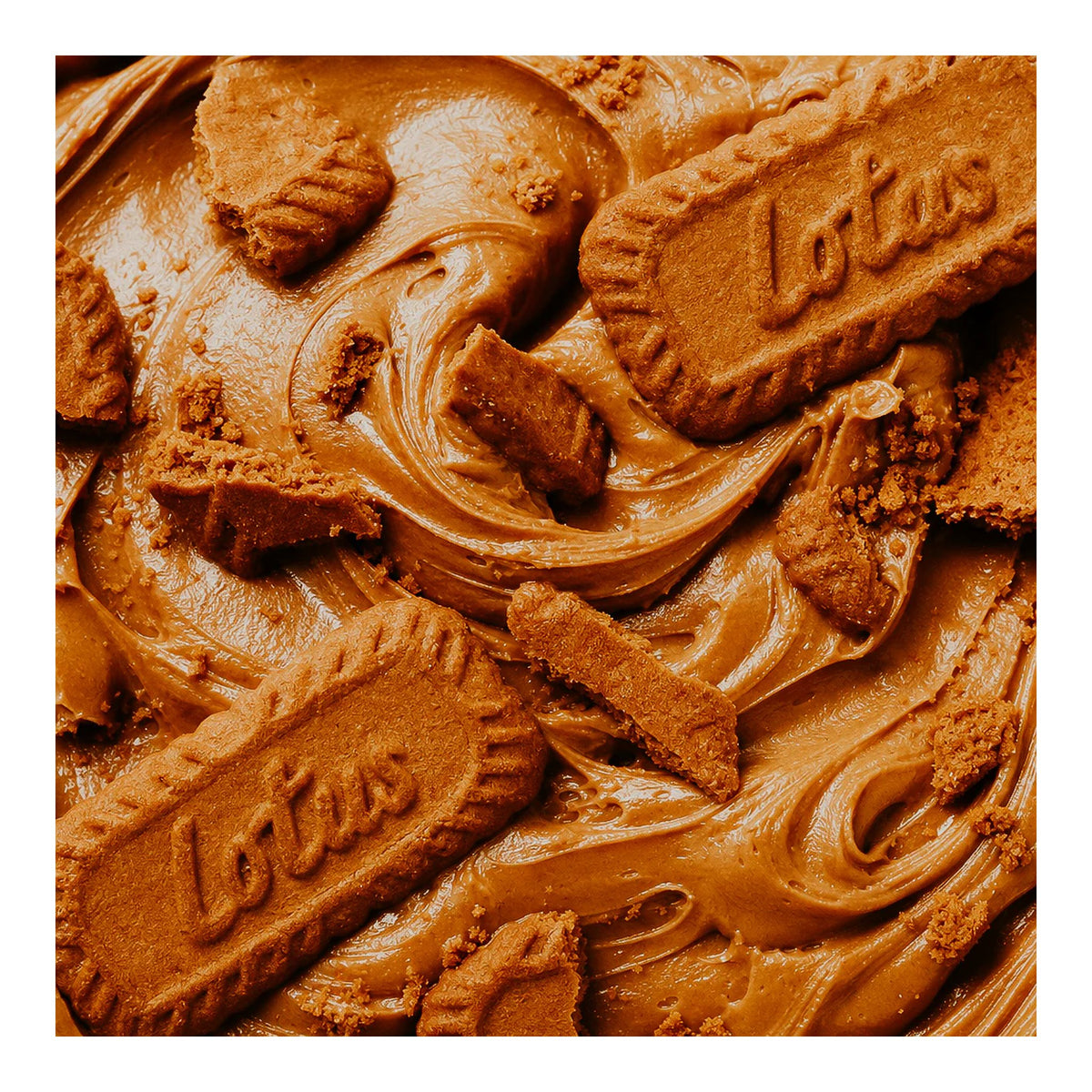 World Market | Lotus Biscoff Creamy Cookie Butter