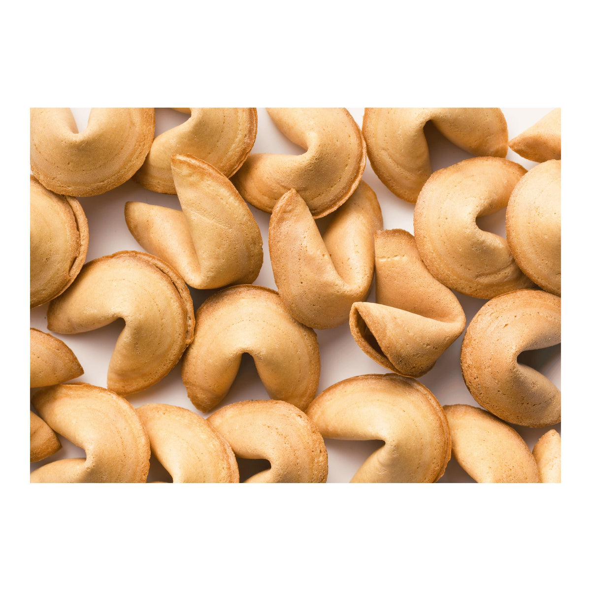 World Market | Fortune Cookies