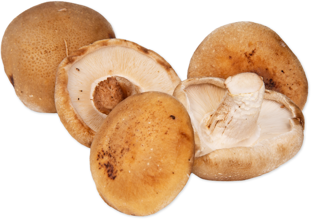 Shiitake Mushrooms