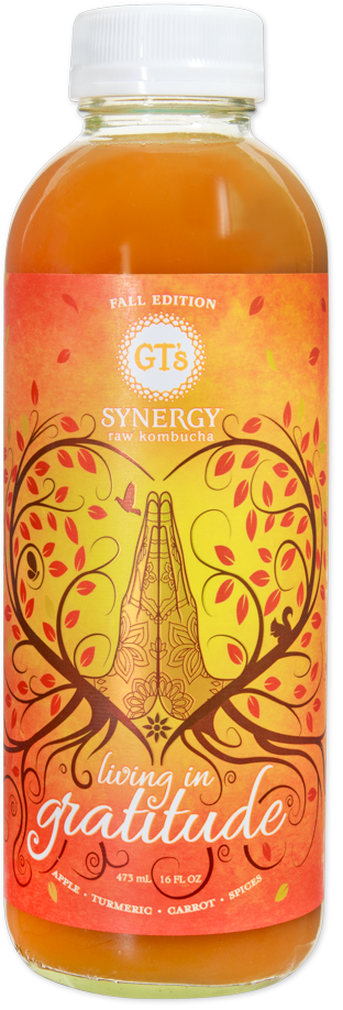 GT's Synergy Living in Gratitude Raw Kombucha