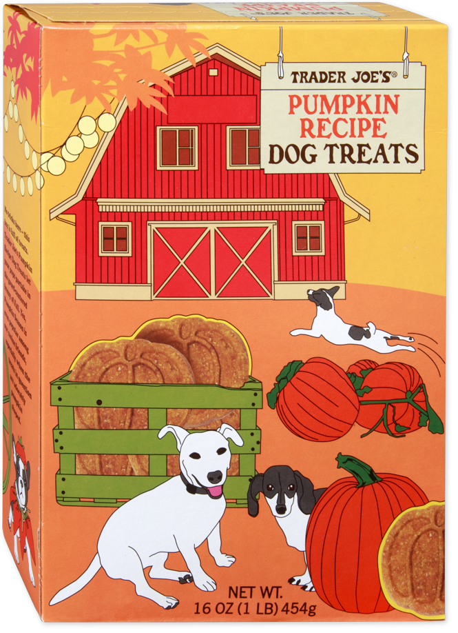 Pumpkin Recipe Dog Treats