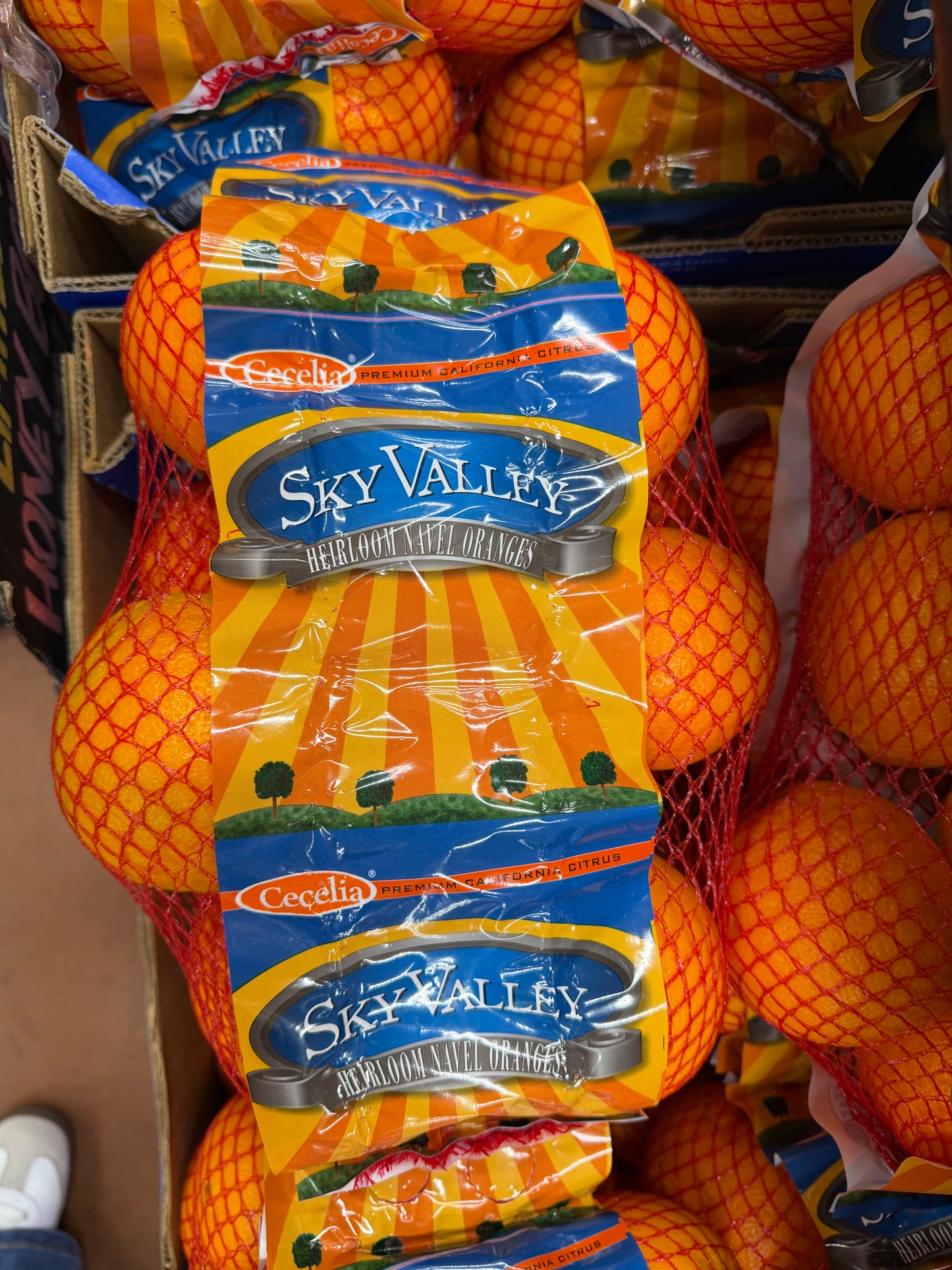 Heirloom Navel Oranges