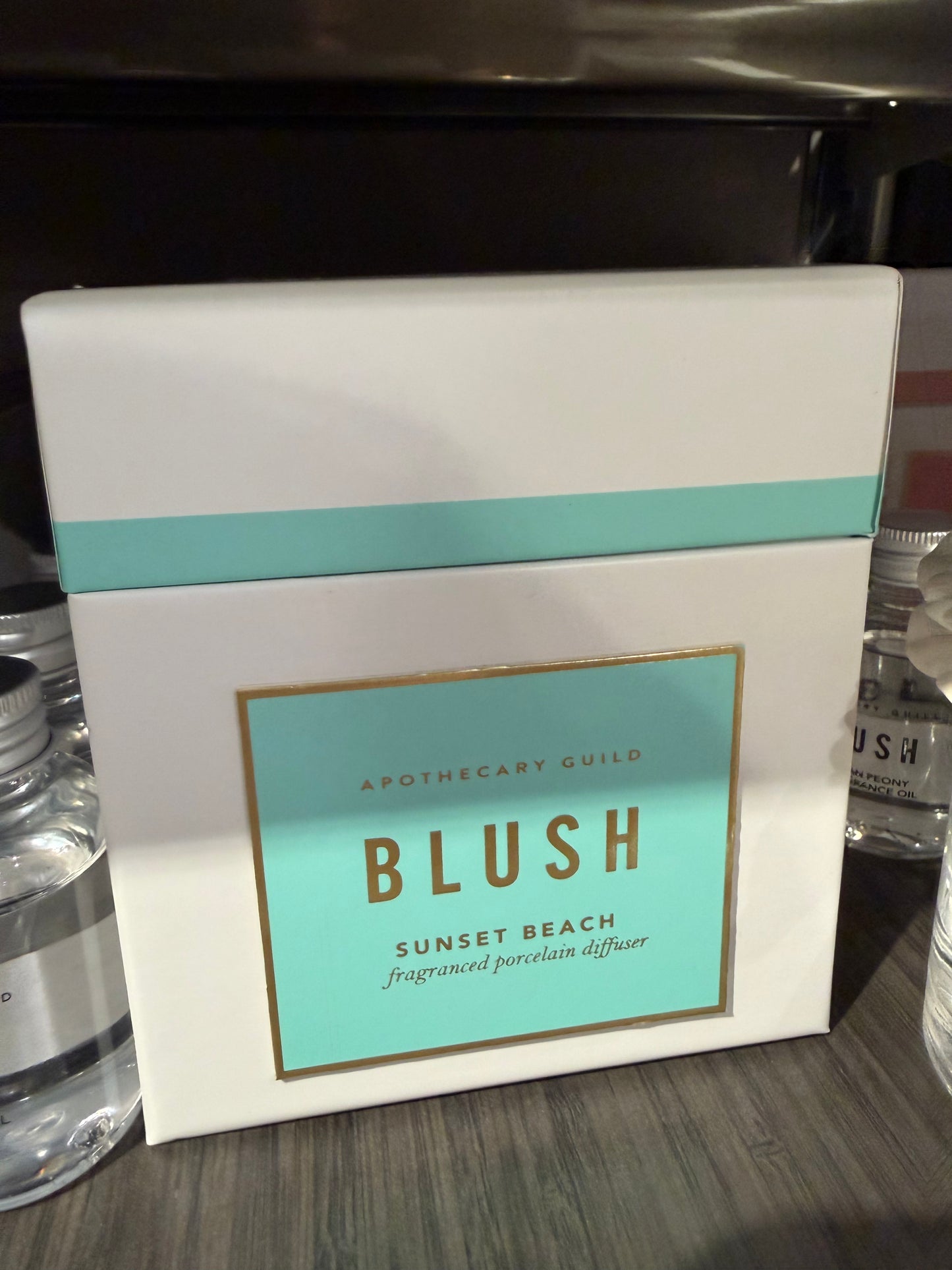 APOTHECARY GUILD
BLUSH
SUNSET BEACH
fragranced porcelain diffuser